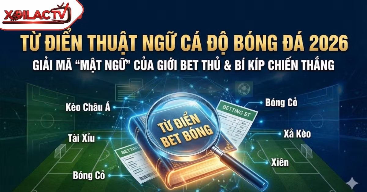 Từ Điển Thuật Ngữ Cá Độ Bóng Đá 2026: Giải Mã Toàn Bộ “Tiếng Lóng” Giới Bet Thủ